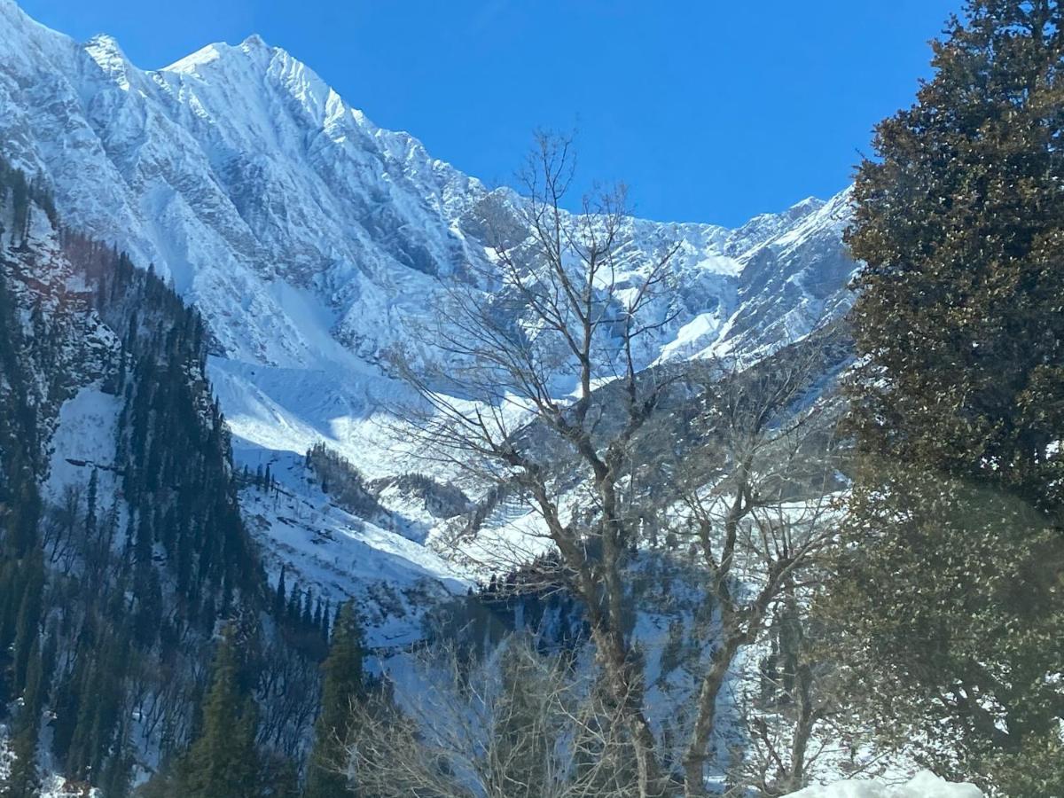 Solang Valley Resort Manali  Ngoại thất bức ảnh