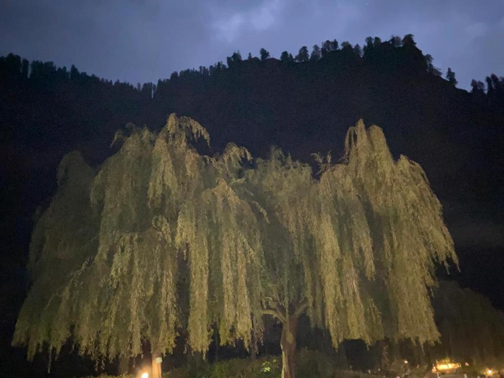 Solang Valley Resort Manali  Ngoại thất bức ảnh